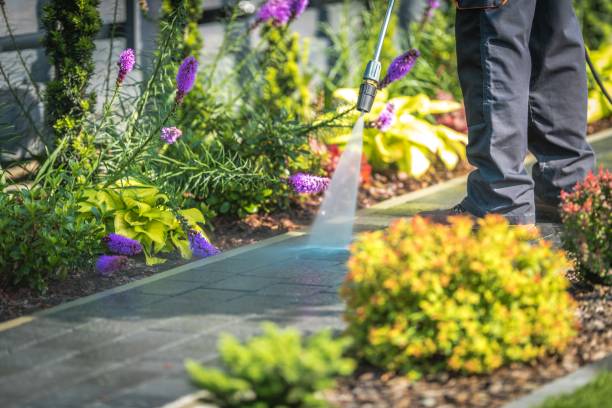 Animal Enclosure Cleaning in Fort Recovery, OH